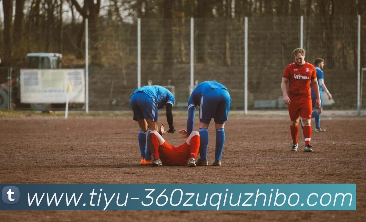 多媒体互动体验